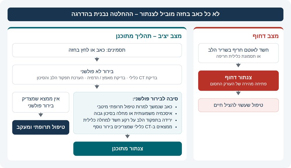 איור 2: מתי מגיעים לצנתור – מסלול דחוף לעומת מסלול מתוכנן