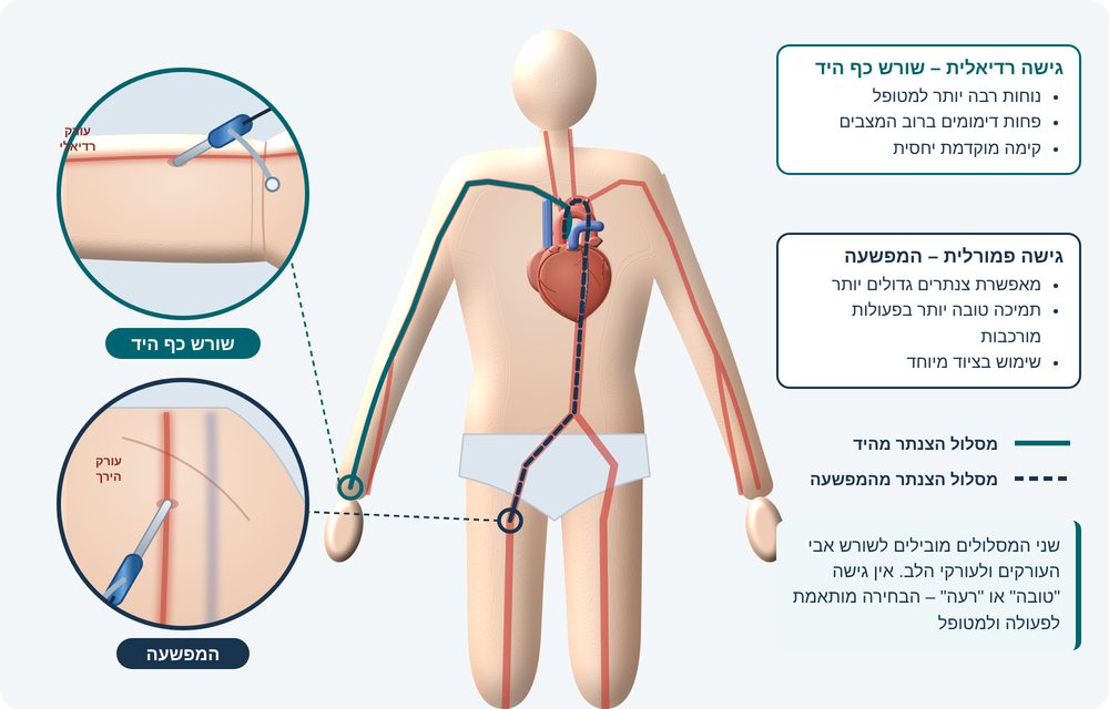 איור 5: דרכי הגישה לצנתור – דרך שורש כף היד או דרך המפשעה